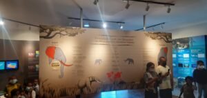 Pusat Informasi Geologi - Museum Daerah NTT