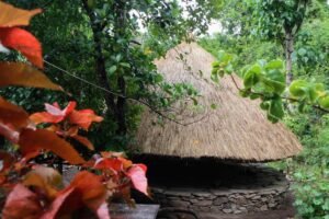 Menjelajahi Budaya Desa Adat Boti Dalam di Nusa Tenggara Timur