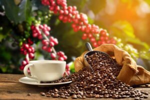 Kamu Pecinta Kopi Wajib ikut Festival Ini