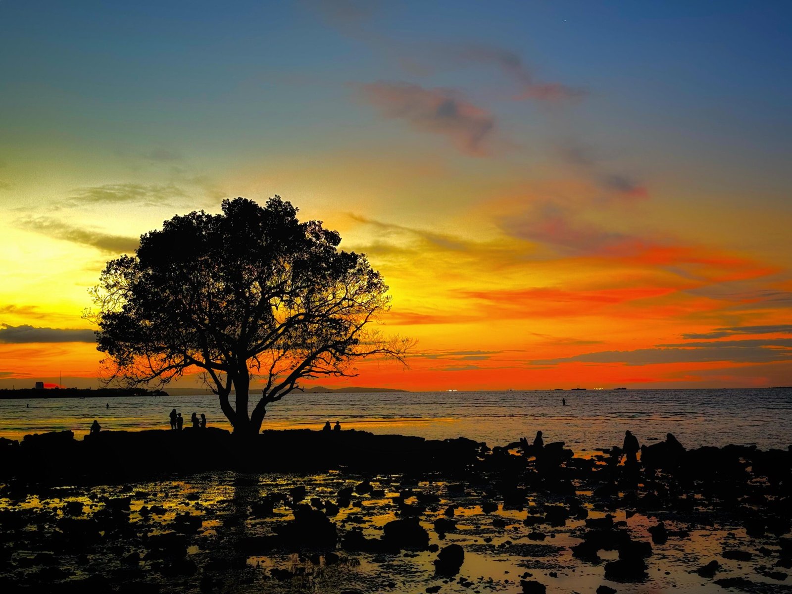 Pohon Jomblo dan Sunset di Pantai Oesapa - Kombinasi yang Wajib Kamu Kunjungi
