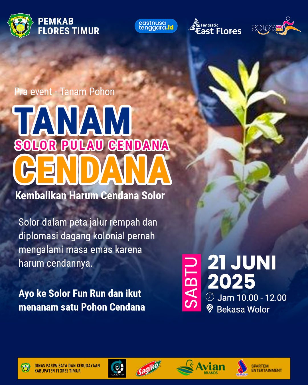 pohon cendana