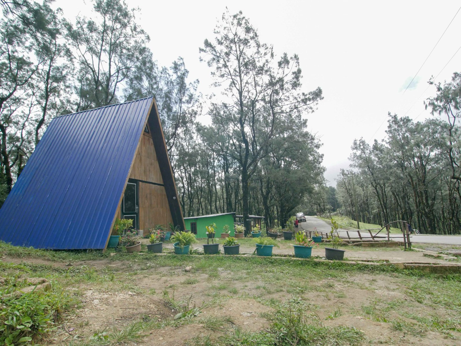 Pesona Kampung Wisata Fatumnasi, Surga Tersembunyi di Kaki Gunung Mutis